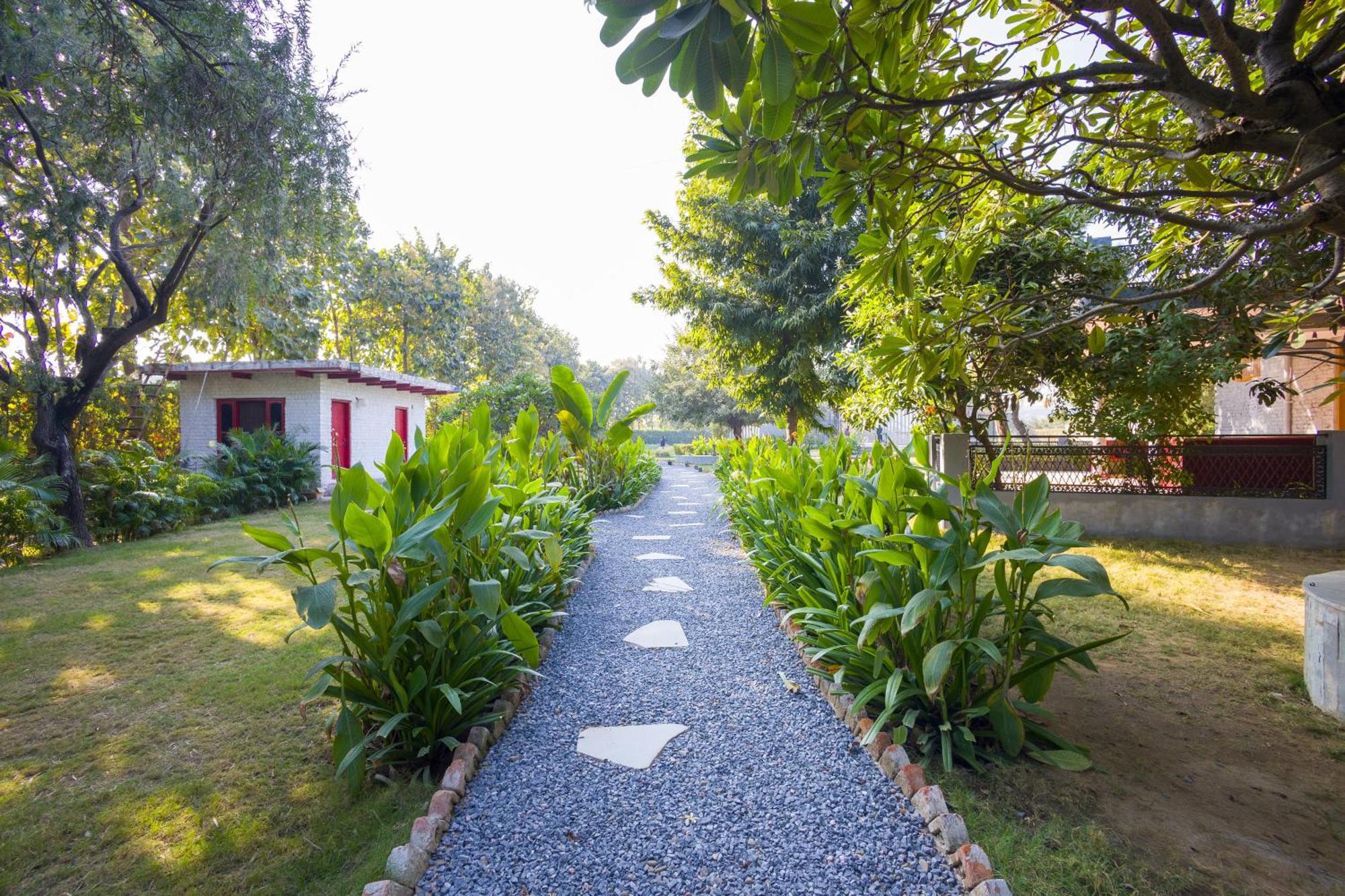 Elivaas Hidden Oasis 4Bhk With Pool, Mud House & Container House Villa Dhauj Exterior photo